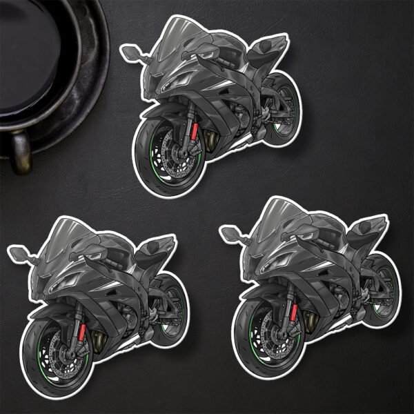 Stickers Kawasaki ZX-10R 2016-2020 - Set of 3 - Image 12